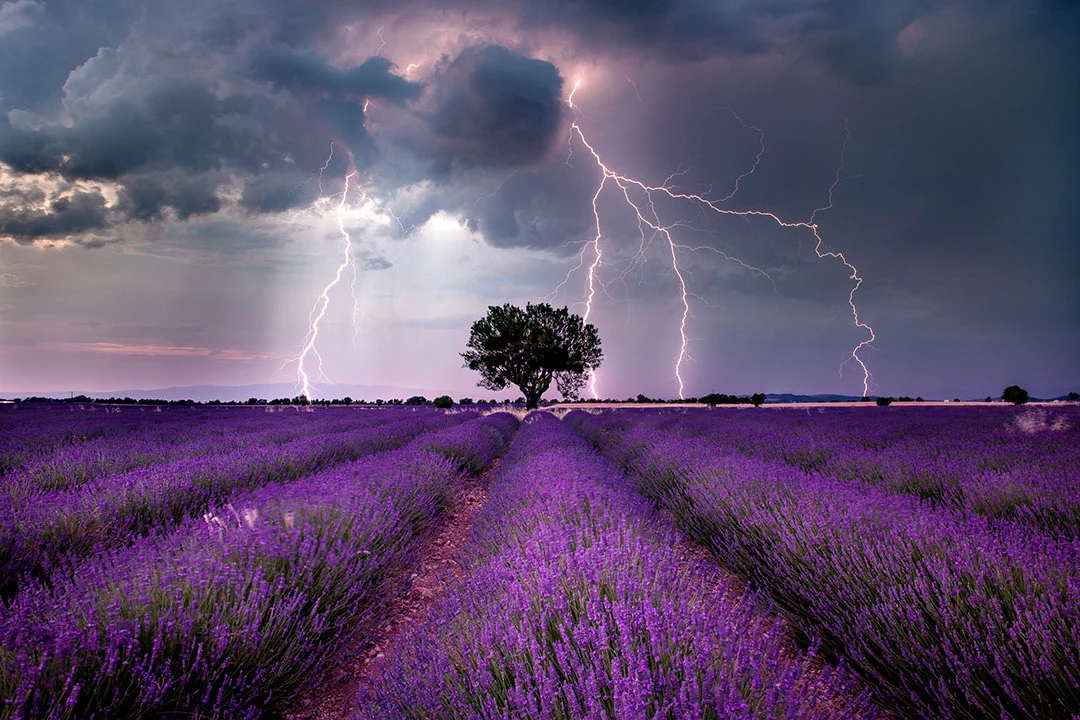 Capture Your Best Photos Ever
